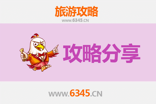 泰安新泰旅游攻略：跟团与自由行全方位对比